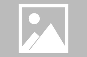 【法甲】兰斯vs巴黎圣日耳曼伤病名单最新(2024年09月22日)